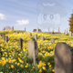 Image for article titled Top 10 Pokémon That Should Die